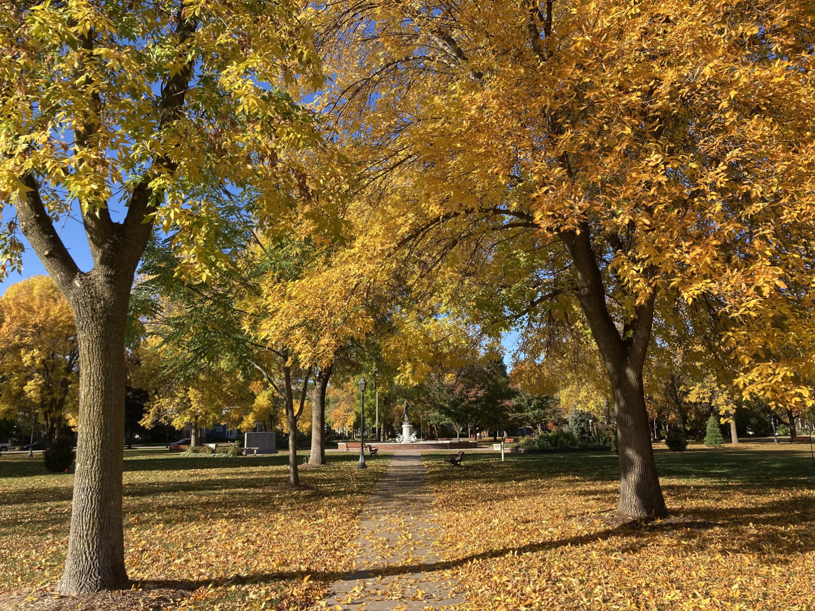 Fall colors in Windom Park, Winona